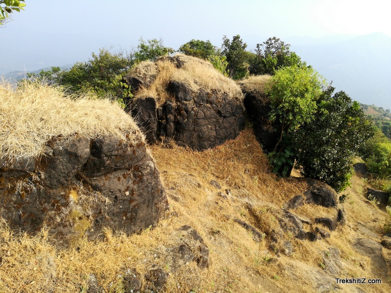 Madhu makarandgad